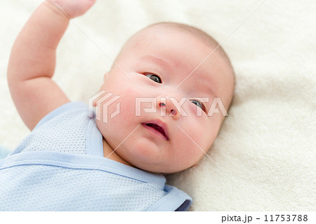 Infant baby 11753788