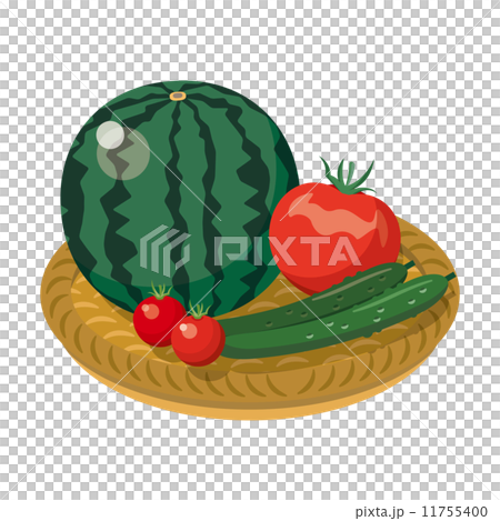 Vegetables Summer vegetables [Foodstuff series] 11755400