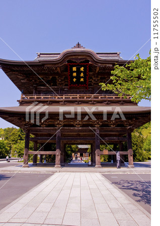 建長寺の三門 11755502