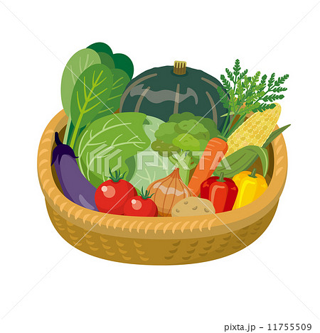 野菜盛り 食材 シリーズ のイラスト素材 11755509 Pixta