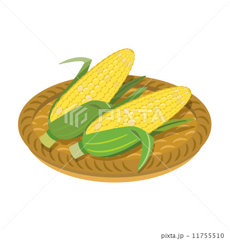 とうもろこし【食材・シリーズ】 とうもろこし【食材・シリーズ】 11755510