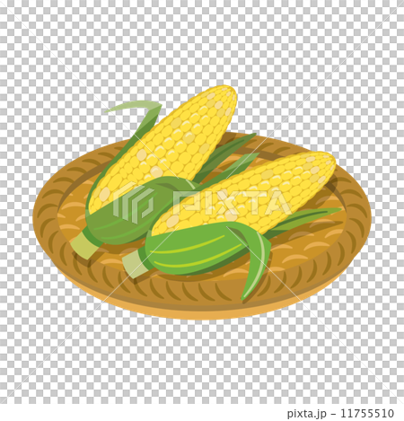 とうもろこし【食材・シリーズ】 とうもろこし【食材・シリーズ】 11755510