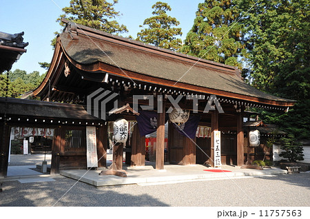 滋賀　建部大社 11757563