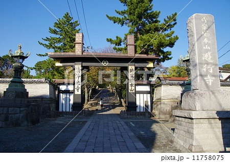 遊行寺 惣門(神奈川県藤沢市) 遊行寺 惣門(神奈川県藤沢市) 11758075