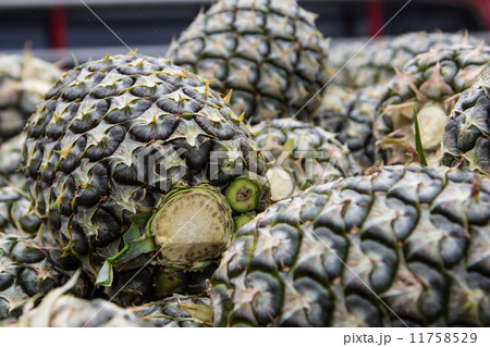 pine apples 11758529