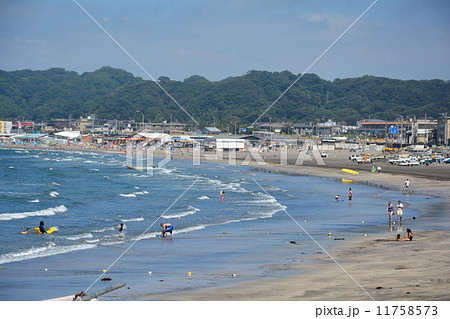 夏の由比ヶ浜海岸 11758573