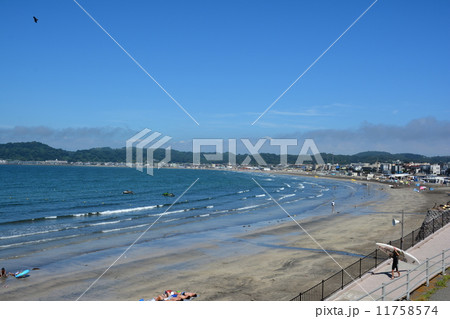 夏の由比ヶ浜海岸 11758574