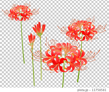 赤絵細描風アート「彼岸花に揚羽図」イラスト原画 赤絵細描風アート「彼岸花に揚羽図」イラスト原画