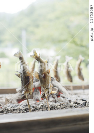 鮎の塩焼きと背景の山 鮎の塩焼きと背景の山 11758667