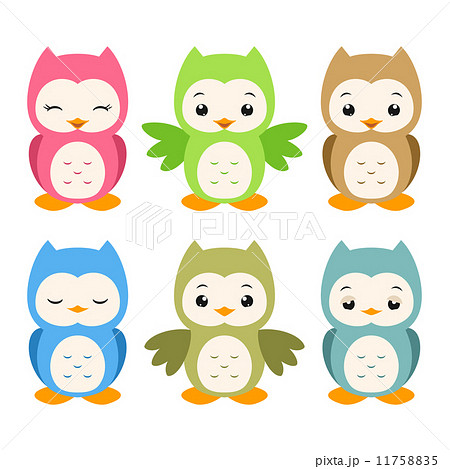 Cartoon Owls 11758835