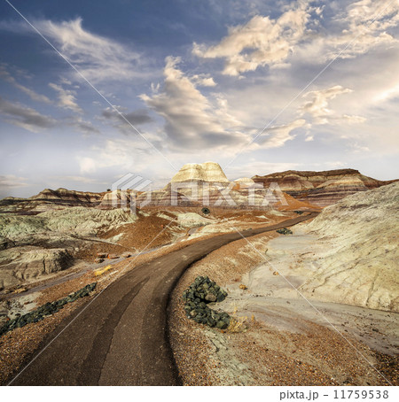Path in Petrified Forest National Park, Arizona, USA. 11759538