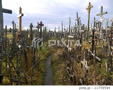 Hill of Crosses, Lithuania 11759584