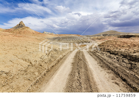 Desert Road Desert Road 11759859