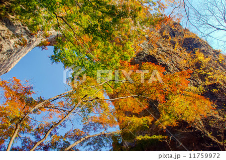 紅葉石門 紅葉石門 11759972