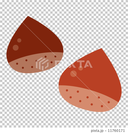 Chestnut Chestnut 11760171