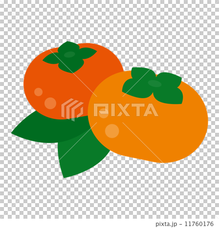 persimmon persimmon 11760176