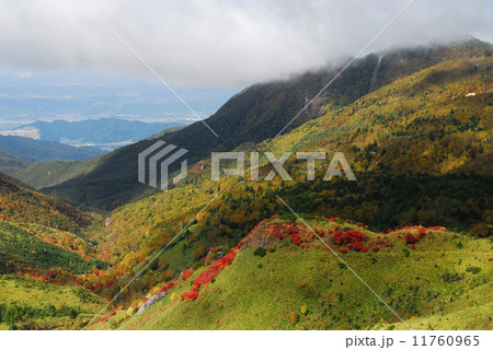 毛無峠の紅葉 11760965