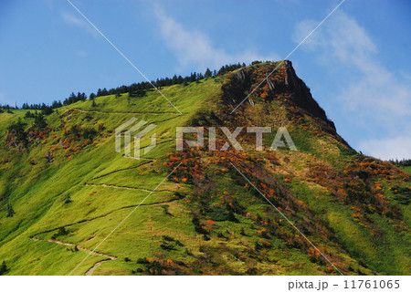 毛無峠の紅葉 11761065