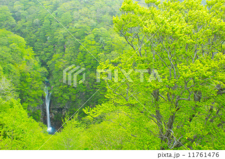 深山の滝 深山の滝 11761476