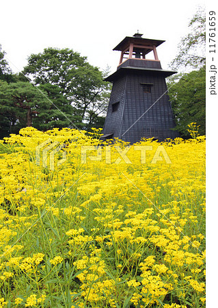 沼田城址 沼田城址 11761659
