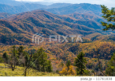 紅葉に染まる奥秩父の山 11761838