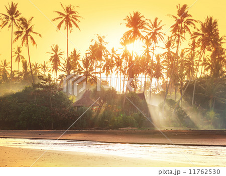 Tropical huts 11762530