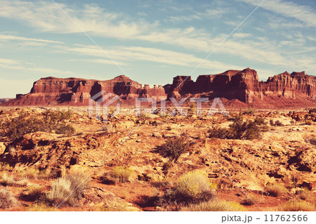 American landscapes 11762566