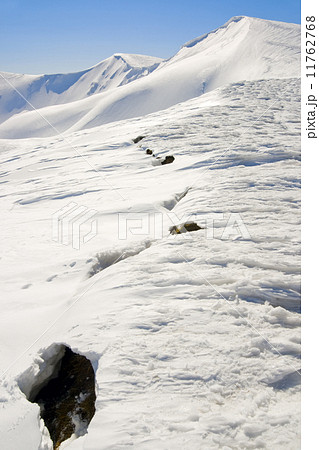 future avalanche signs future avalanche signs 11762768