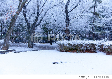 雪、雪景色、雪化粧 雪、雪景色、雪化粧 11763110