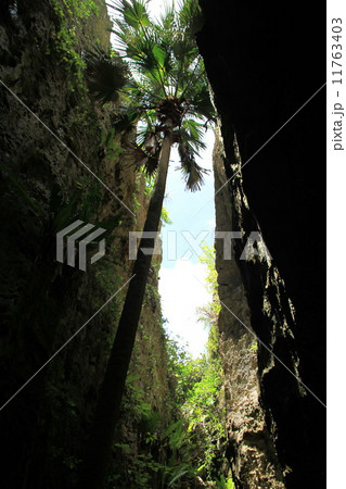 バリバリ岩 11763403