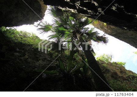 バリバリ岩 11763404