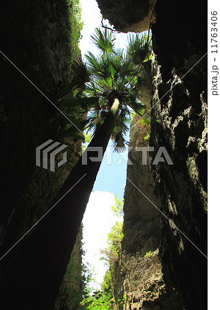 バリバリ岩 11763406