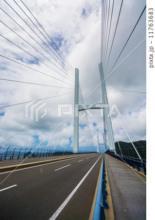 女神大橋@長崎市 女神大橋@長崎市 11763683