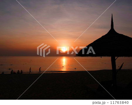 ニャチャンビーチ ニャチャンビーチ 11763840