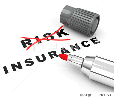 risk and insurance 11764153