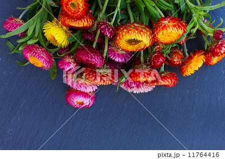 Bouquet of Everlasting flowers 11764416