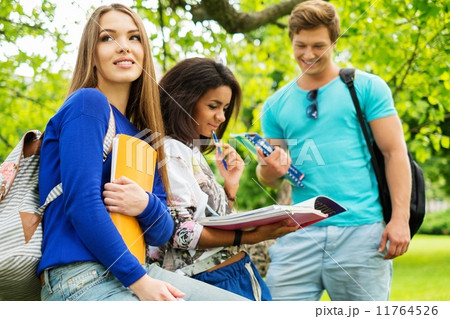Group of multi ethnic students preparing for final exams in a city park 11764526