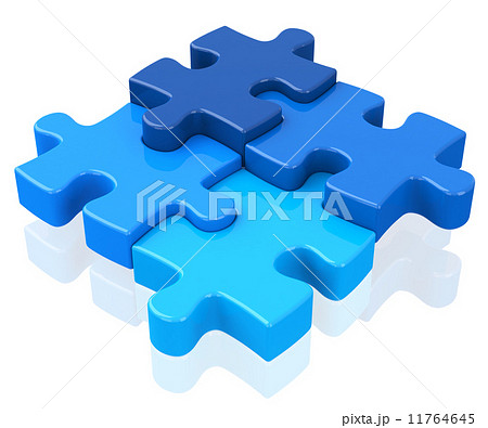 The puzzle The puzzle 11764645