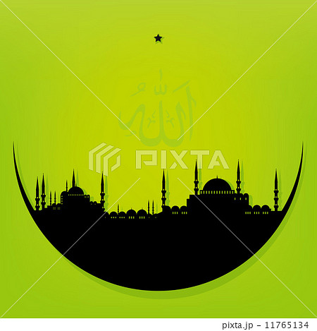 Moon with Mosque 11765134