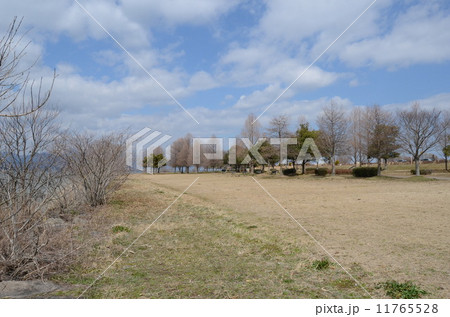 琵琶湖・湖岸緑地 琵琶湖・湖岸緑地 11765528