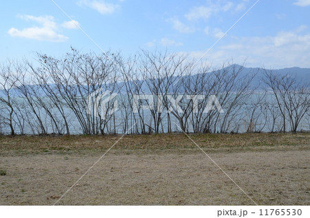 琵琶湖・湖岸緑地にて 11765530