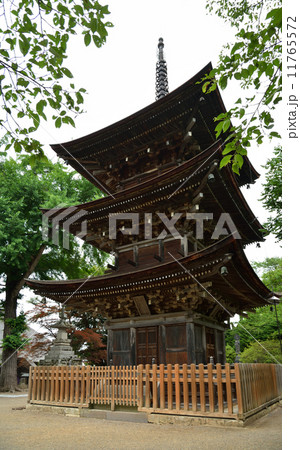 上田散歩・前山寺　国重要文化財の三重塔　塩田平 11765572