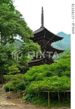 上田散歩・前山寺 国重要文化財の三重塔 塩田平 上田散歩・前山寺 国重要文化財の三重塔 塩田平 11765578