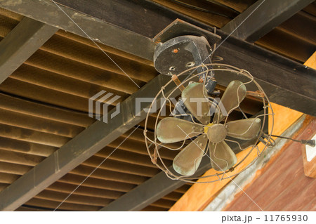 Ceiling Fan 11765930