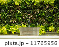 Lavatory 11765956