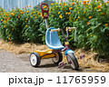 kid tricycle 11765959