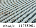 Grate of Drain cover 11765961