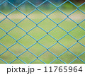 Chainlink Fence 11765964