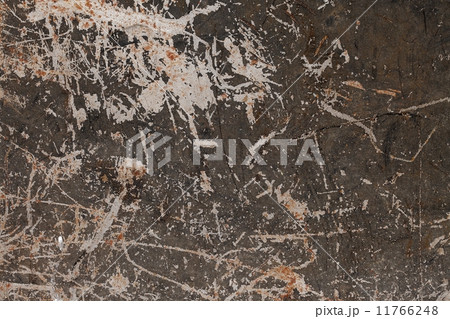 Texture 11766248