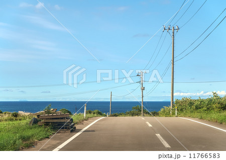 海へ続く道 11766583